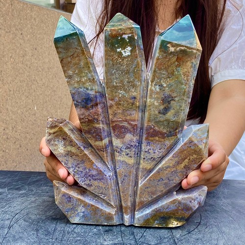 8.24LB Natural Prehistoric Plant Column - Collector's Rarity - 第 7/14 張圖片