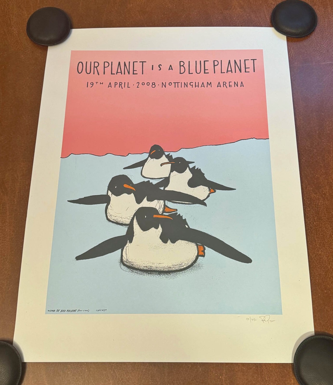 Jay Ryan Our Is Blue Penguin Poster 2008 Art Print BBC