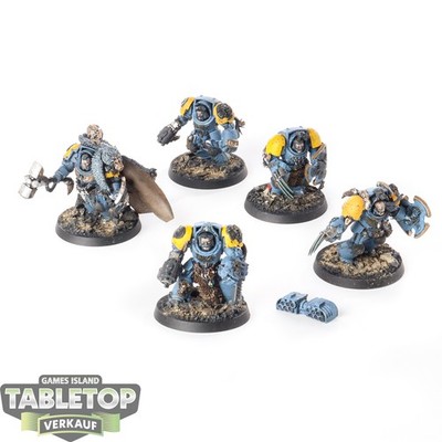 Space Wolves - 5 Wolf Guard Terminators - bemalt