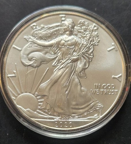 2020 WALKING LIBERTY 1oz. AMERICAN EAGLE .999 FINE SILVER DOLLAR COIN In Capsule