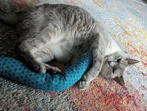 15" Catnip Cat Kicker Toy (Catnip Kicker Toy filled with 1 oz Canadian Catnip) - Picture 14 of 63