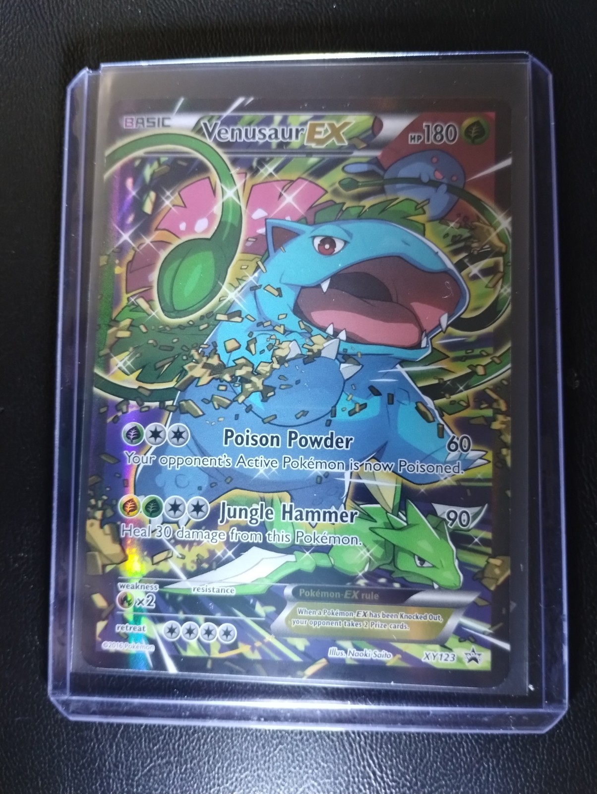 Pokémon TCG Venusaur EX XY Black Star Promos Holo Card XY123