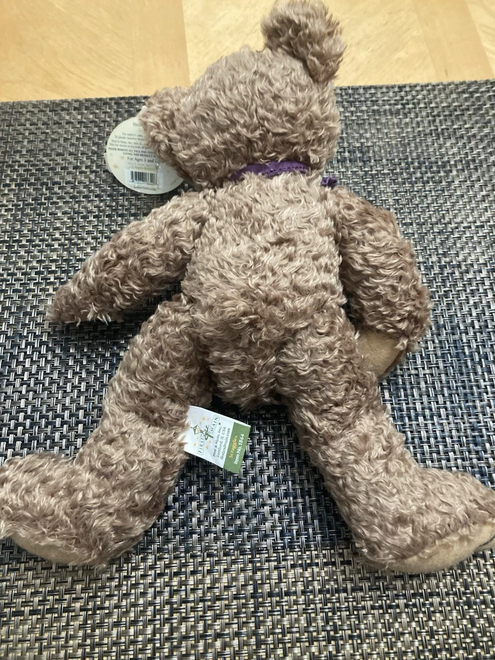 Primeiro e principal pelúcia Scruggles The Teddy Bear - Imagem 2 de 4