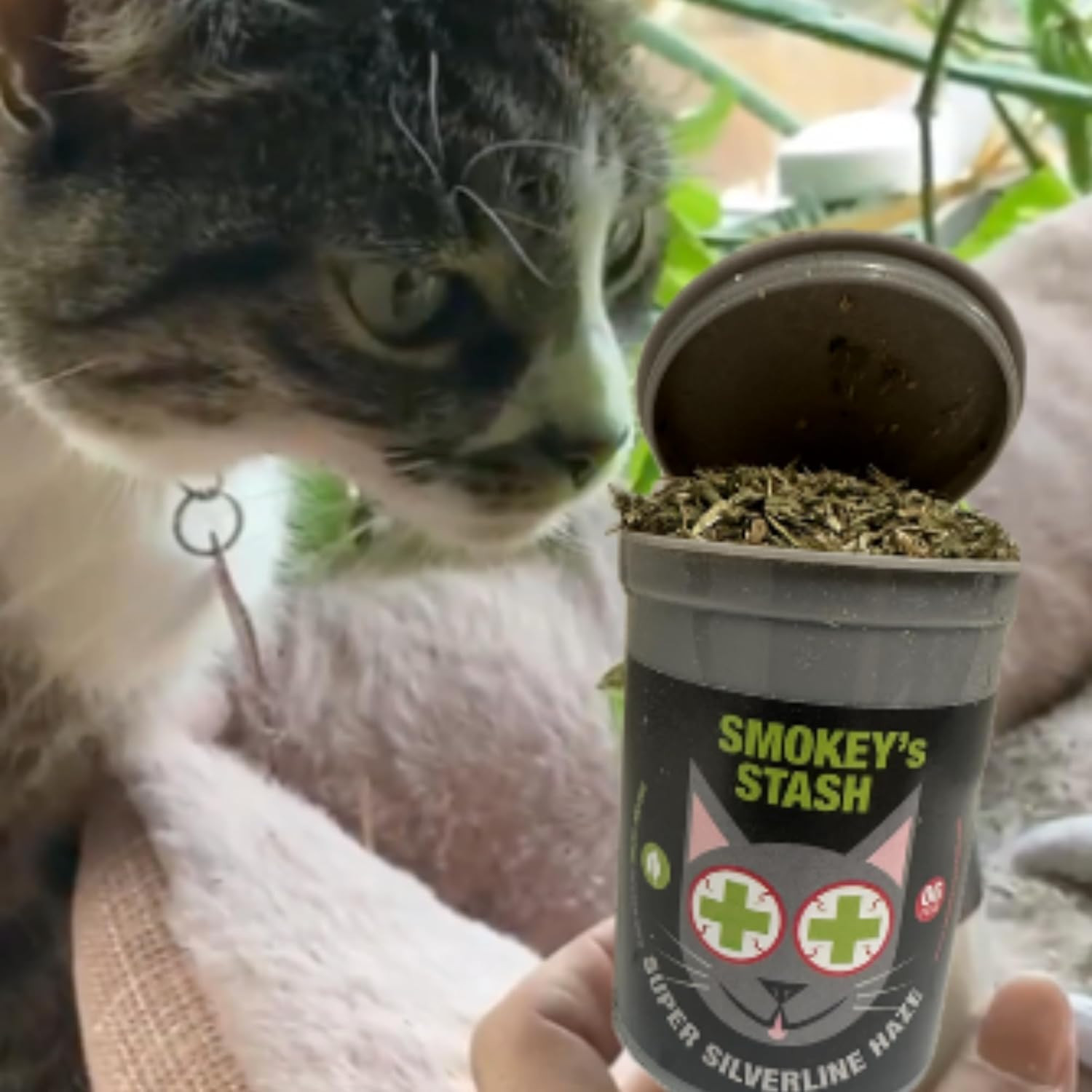 Smokey's Stash Silvervine Haze Potent Catnip and Silver Vine Blend for Cats 