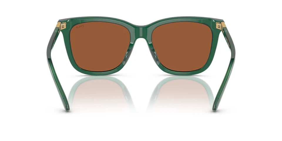Gafas de sol Ralph Lauren Polo PH4201U 6196/73 lentes verdes/marrones con estuche *NUEVO* Foto 2 de 4