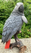 African Grey Parrot Vivid Arts Garden Ornament Indoor/ Outdoor xrl- fgp-d