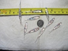 100-1 1/2"-crappie panfish-soft fat head minnow-grubs-scent-jig-split tail-fluke