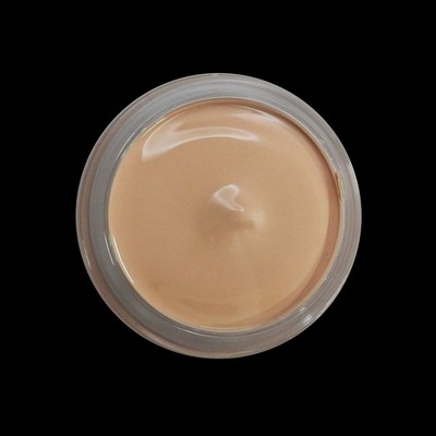 Baby Skin~ GEMINI Paint~Heat Set Paint~4 OZ~ brand NEW