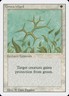 MTG Green Ward Revised 20 Regular Uncommon LP