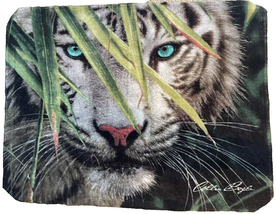 White Tiger Bamboo Plush Blanket Tapestry-Look Signed Collin Bogle 61x46 Art Cat - Image 2 of 4