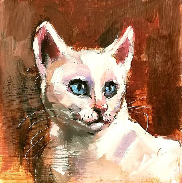 Original Oil Painting White Cat Portrait Feline Mini Art Signed