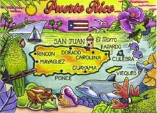 PUERTO RICO CARIBBEAN FRIDGE COLLECTOR'S SOUVENIR MAGNET 2.5" X 3.5" 