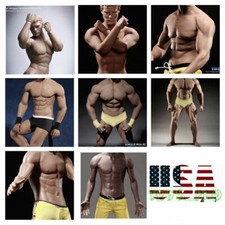 PHICEN TBLeague 1/6 scale Steel Skeleton Male MUSCULAR SEAMLESS FIGURE Body  USA  