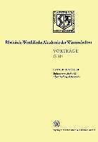 Shakespeares Much Ado About Nothing als Komödie | Buch | 9783663018032