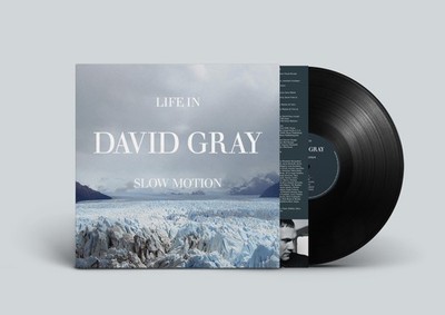 David Gray Life in Slow Motion (20th Anniversary Edition) (Schallplatte)