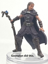 D&D Pathfinder Mini Seas & Shores 11 Druid