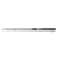 Daiwa Exceler Cf Catfish Spin 2,40M / Bis 185G Welsspinnrute Waller Spinnrute
