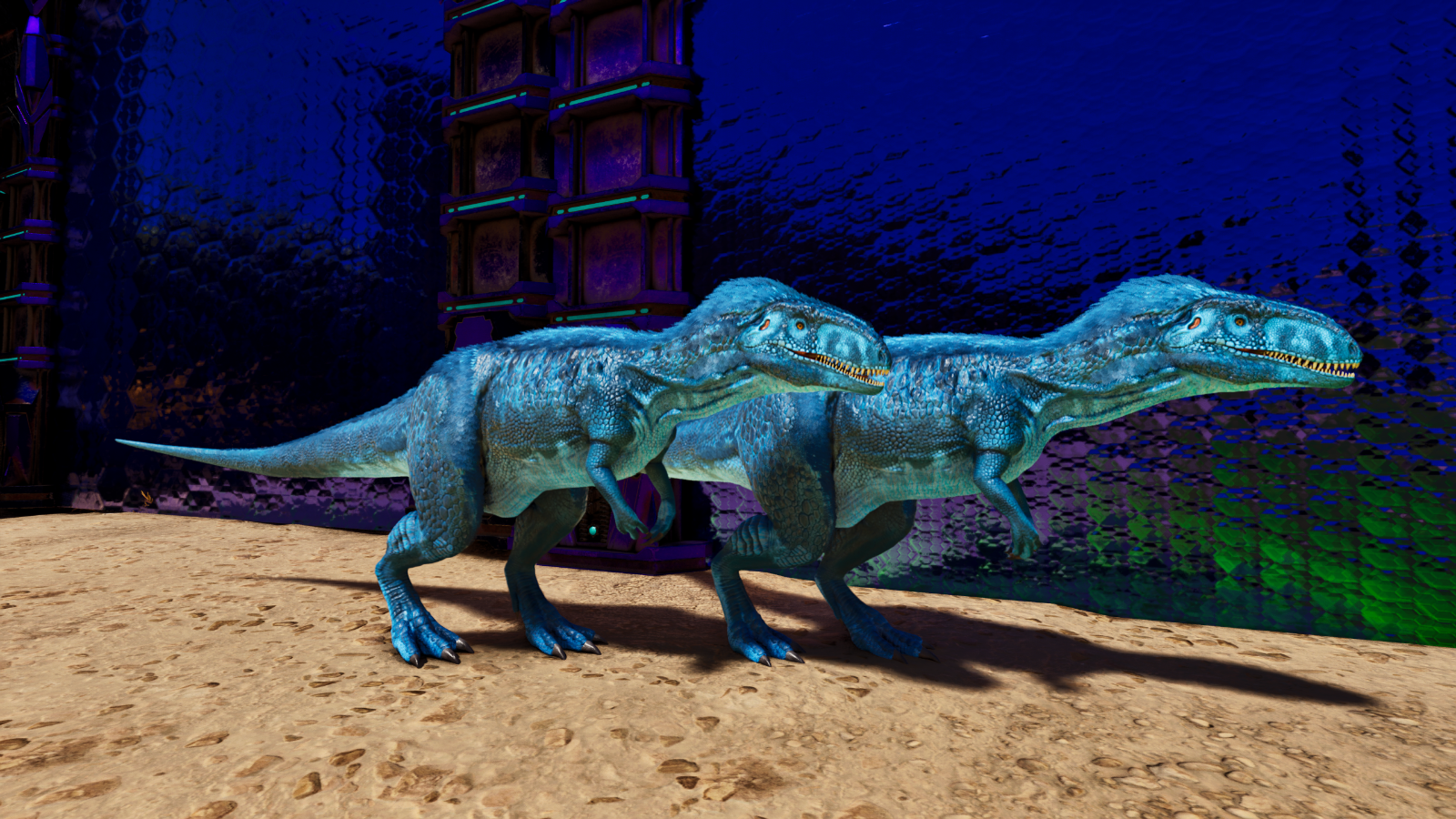 Picture 5 of 8