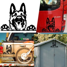 Chien Berger V7, Autocollant En Vinyle