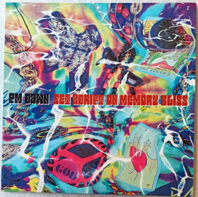 12''  PM DAWN -   SET ADRIFT ON MEMORY BLISS **    D 1991 * * * * * *   EX / EX