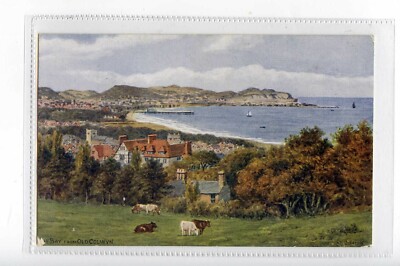 (KJh5041-100) PP,THE BAY FROM OLD COLWYN