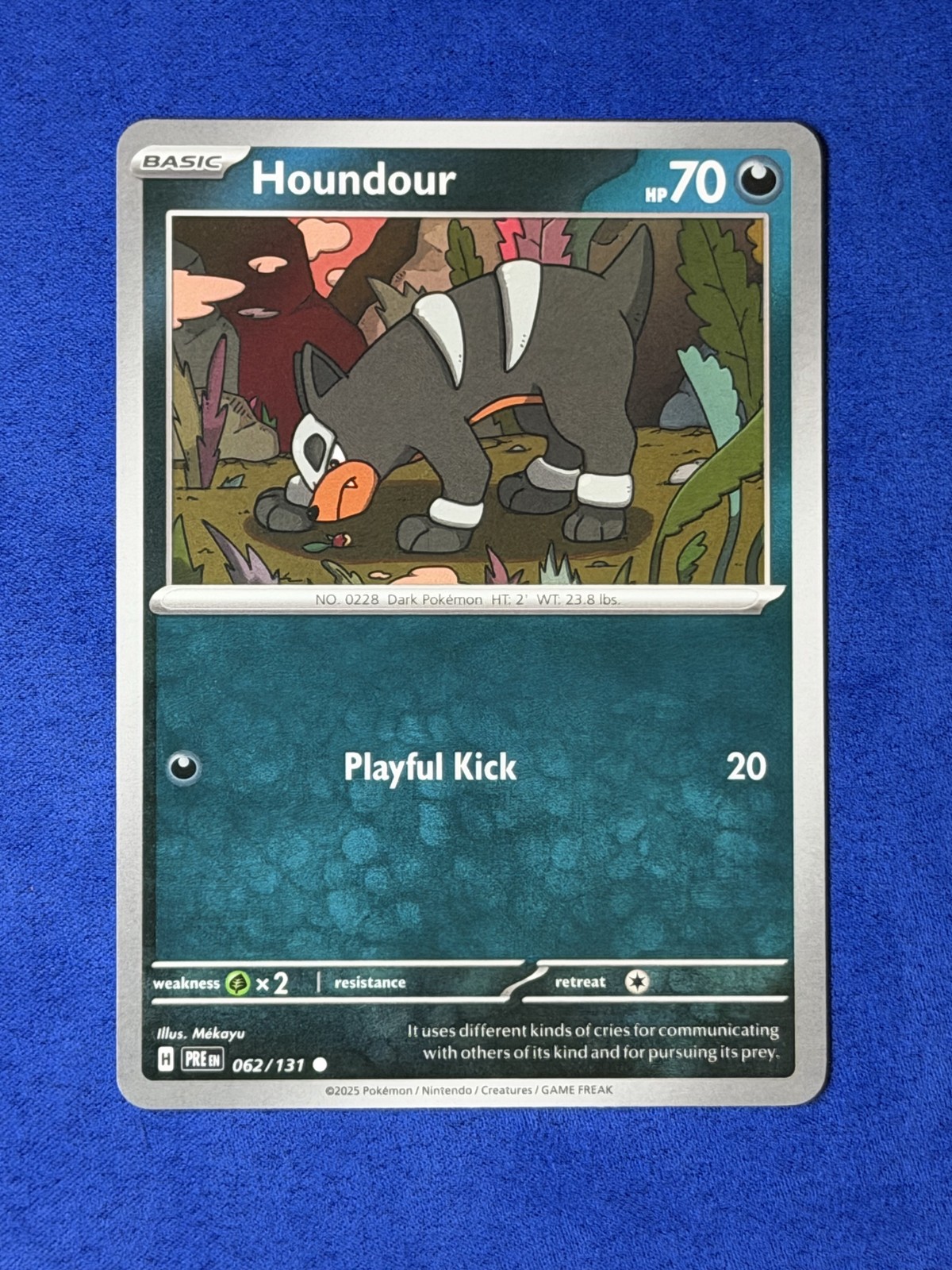 Houndour - Pokemon Prismatic Evolutions #62 NM