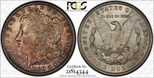 1900 Morgan Silver Dollar PCGS MS63 Beautiful Rustic Red-Brown Toning Gorgeous