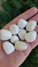 1/4 Pound Tumbled Stones: Choose Type (Gemstone Chakra Crystal Healing) 