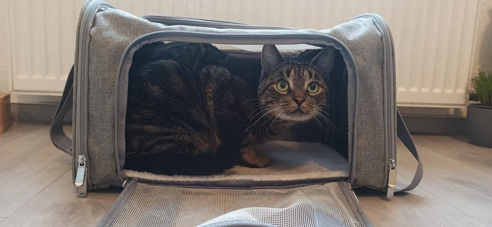 Transporttasche Katze Hund, Faltbare Transportbox, Haustier Tragebox, , leich... - Bild 4 von 4