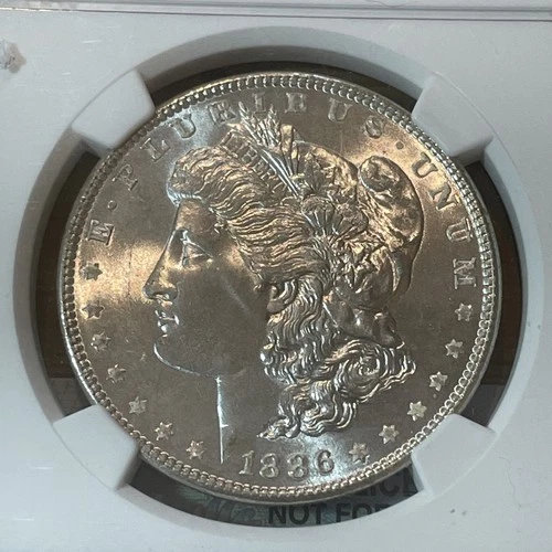 1886 Morgan Silver Dollar NGC MS64 90% Fine Silver Blast White Gem