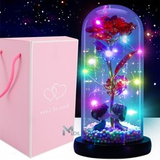Flor Rosa Eterna LED Galaxia Encantada Rosa en Vidrio Su Regalo de San Valentín Navidad