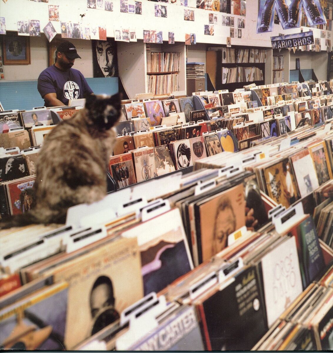 DJ Shadow - Endtroducing.. '96 2xLP UK ORG!VG/VG+ | eBay DJ Shadow - Endtroducing.. '96 2xLP UK ORG!VG/VG+ | eBay