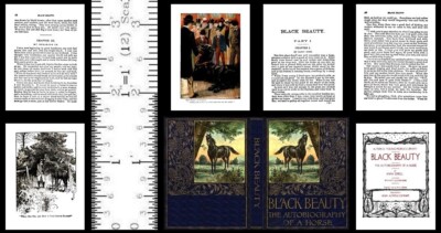 1:6 SCALE MINIATURE BOOK BLACK BEAUTY ILLUSTRATED  PLAYSCALE BARBIE