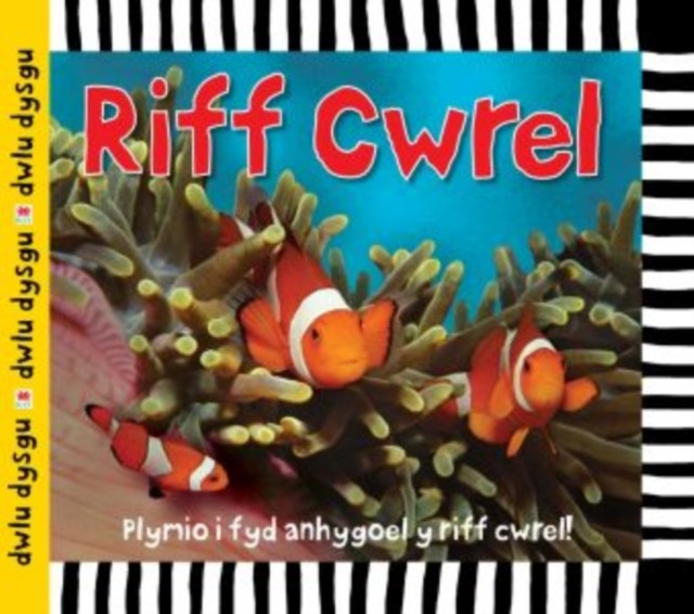 Cyfres Dwlu Dysgu: Riff Cwrel by Sarah Powell (Hardback Book)