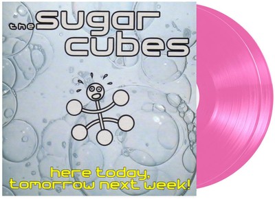 Zuckerwürfel heute, morgen, nächste Woche hier! - Pink Vinyl LP Vinyl NEU