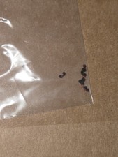 rare exotic cactus seeds rare exotic cactus seeds - Image 1