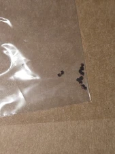 rare exotic cactus seeds