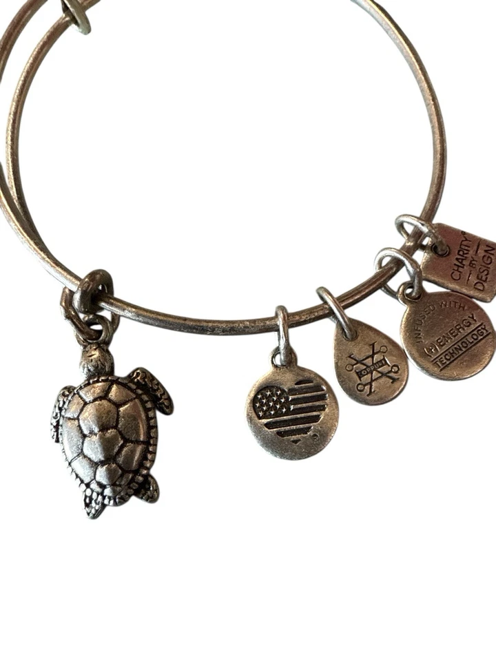 Brazalete enchapado en plata con conciencia de caridad tortuga marina ALEX y ANI Foto 2 de 4