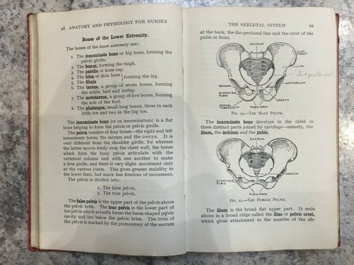 Aids to Anatomy and Physiology by Katharine F. Armstrong Bailliere Tindall & Cox - 第 3/5 張圖片