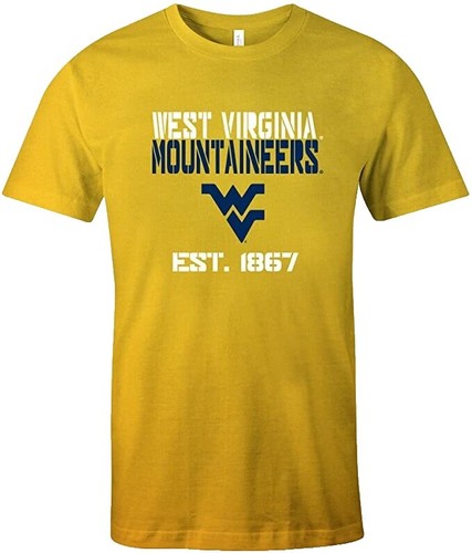 WV West Virginia Mountaineers Vintage Fer Brod&eacute; Sur Patch 3