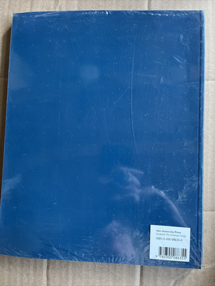 The Luminous Image Painted Glass Roundels in the Lowlands, 14801560