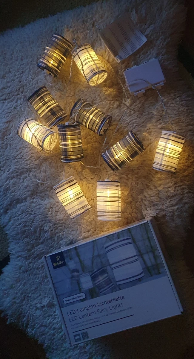 zimmerpflanzen katalog Pflanzenset – 6 grüne Pflanzen – Baby- und Terrarienpflanzen – urbanjngl.com main image 0