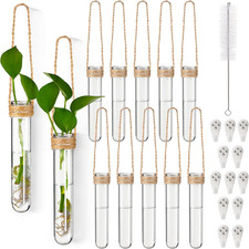 12 Pack Plastic Hanging Propagation Tubes Propagation Station Vases Wall Hanging