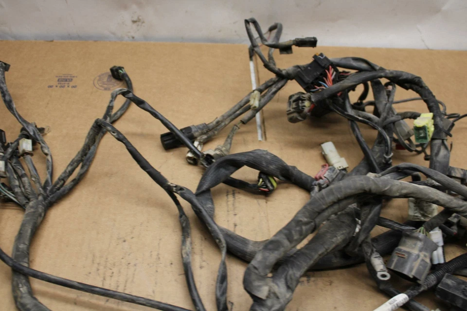 ARNÉS DE CABLEADO MOTOR PRINCIPAL HARLEY-DAVIDSON STREET 500 14-20 BB381 Foto 4 de 4