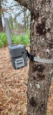 SPYPOINT Flex Plus / Flex S / Flex S Dark Adjustable Trail Camera Tree Mount