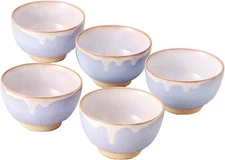 Hagi yaki Yunomi Japanese Tea cup Sencha Kumidashi set of 5 HagiMurasaki Purple