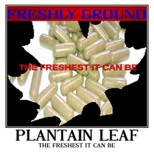 PLANTAIN LEAF The Freshest It Can Be Fresh Ground 100 Vegetarian Capsules