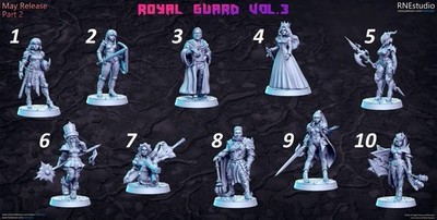 JRPG / Sci Fi / Cyber Punk - RN Estudio Royal Guard Miniaturen