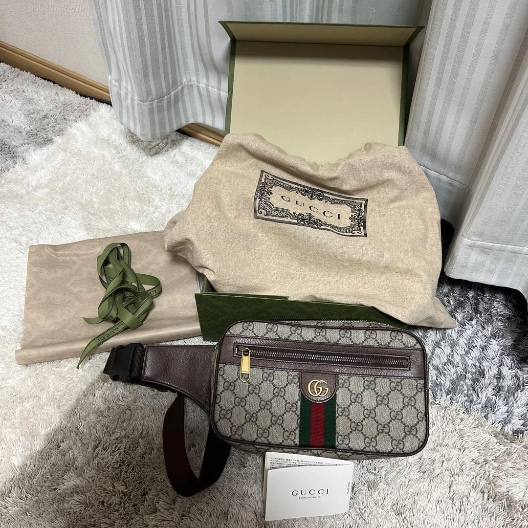 Sac Gucci