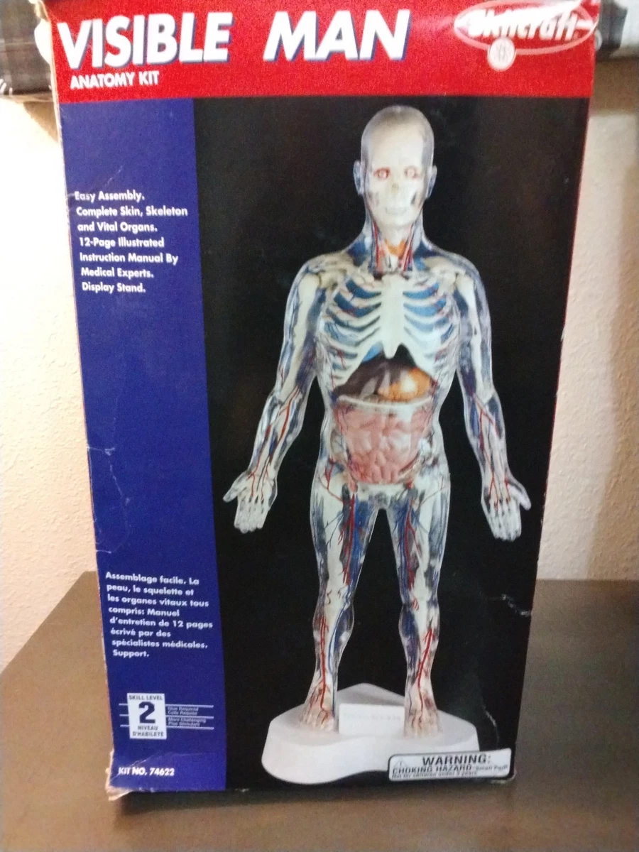 希少 Skil Craft Visible Man Anatomy Kit Skilcraft Visible Man